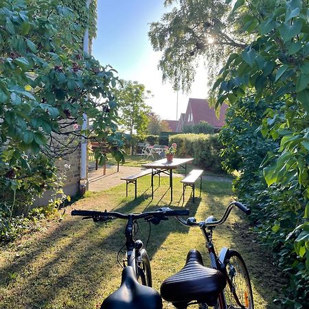 Hemmet Simrishamns Vandrarhem Och B&B Exteriér fotografie