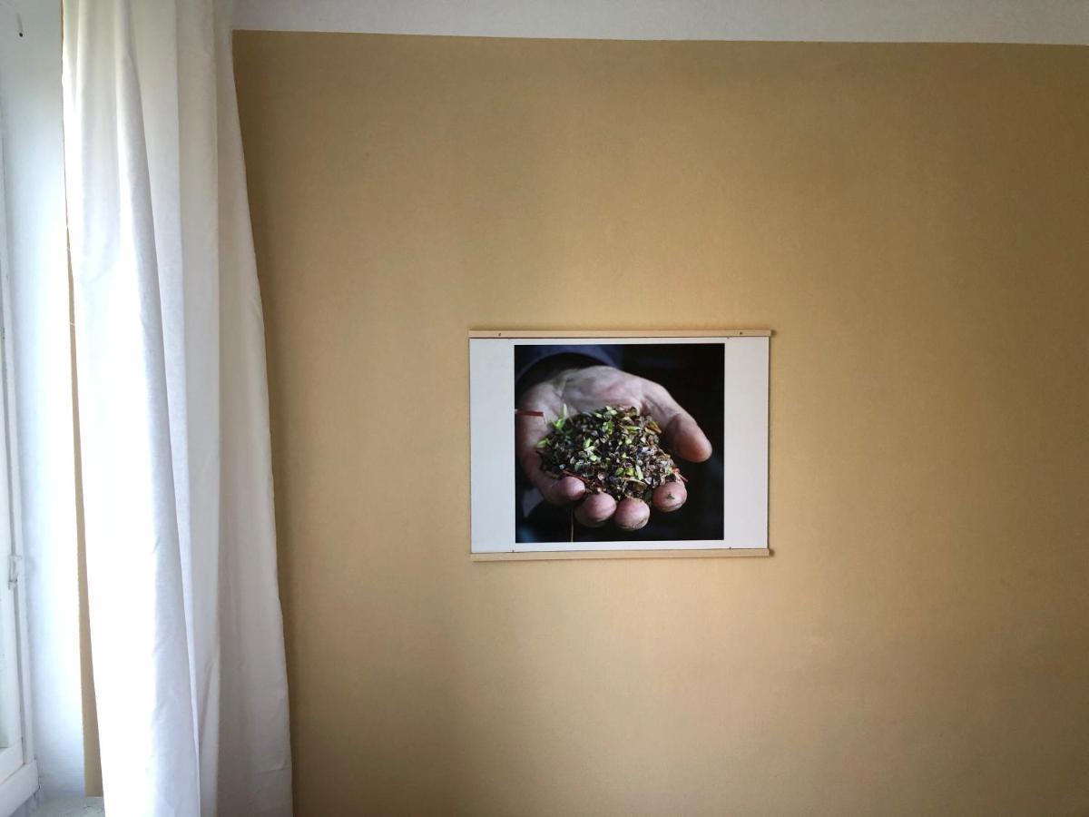 Hemmet Simrishamns Vandrarhem Och B&B Exteriér fotografie