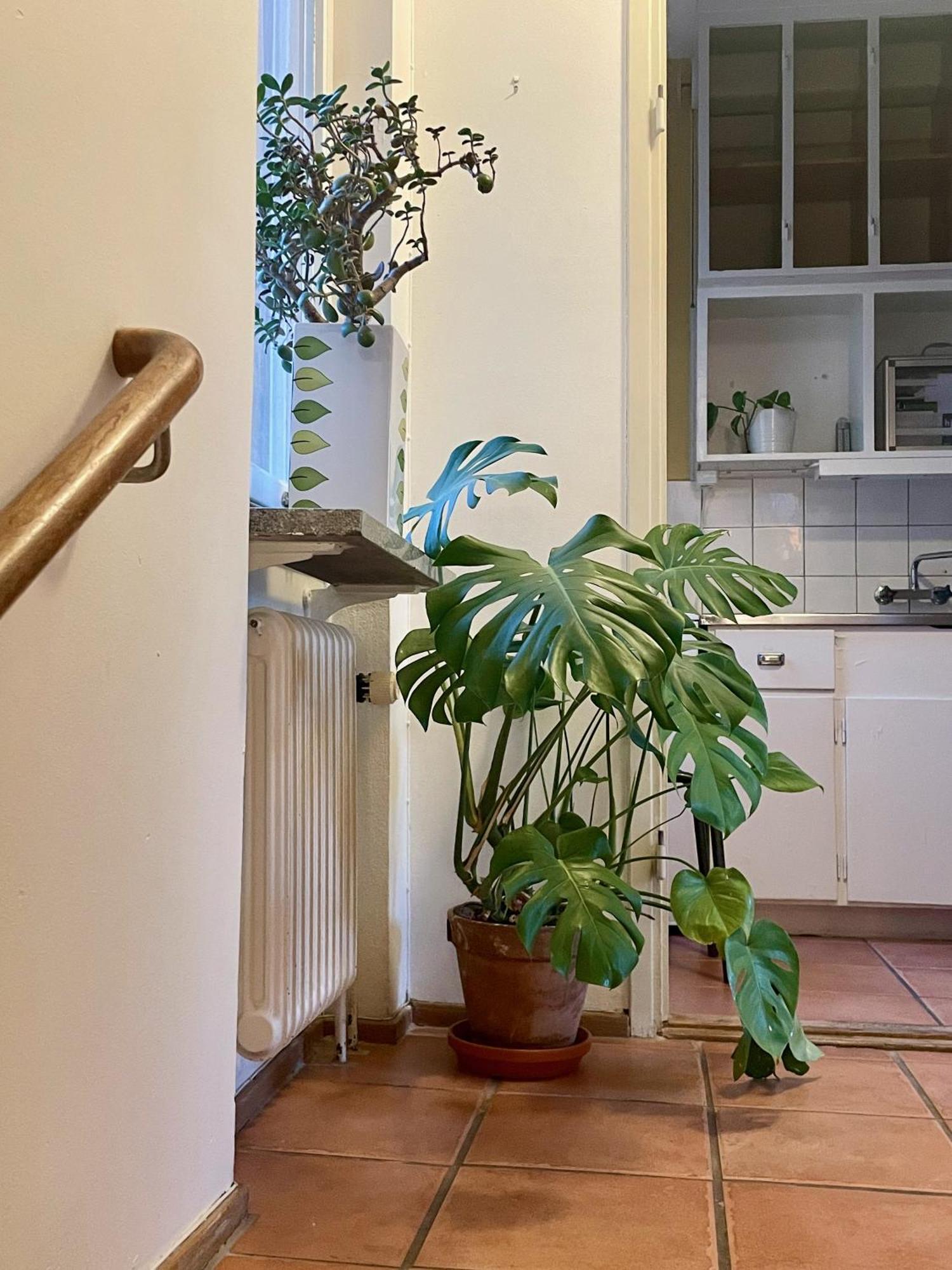 Hemmet Simrishamns Vandrarhem Och B&B Exteriér fotografie